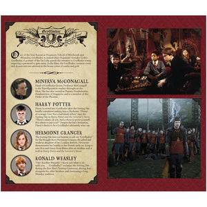 Harry Potter: Gryffindor Hardcover Ruled Journal