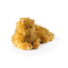 Load image into Gallery viewer, Harry Potter Crookshanks Plush (Large)
